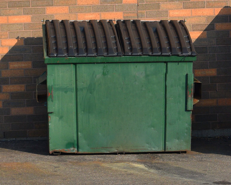 Dumpster Cleaning Services